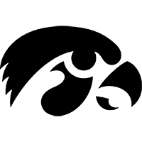 交织的复杂